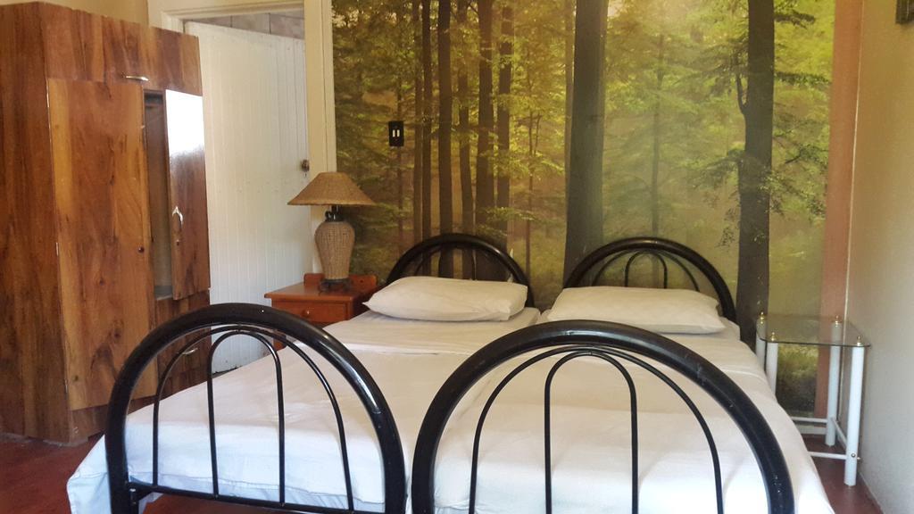 Rosebank Lodge & Backpacker Johannesbourg Extérieur photo